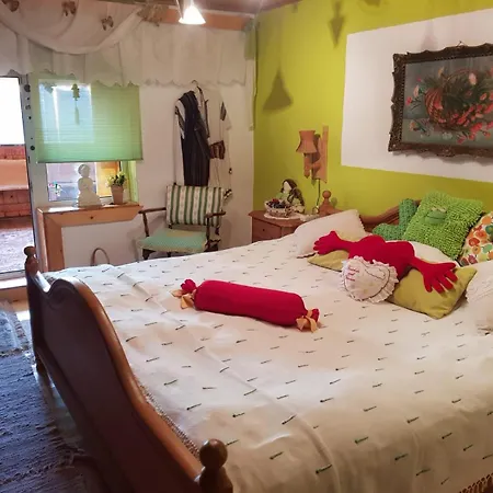 Littel Green Old Holiday home Sighisoara