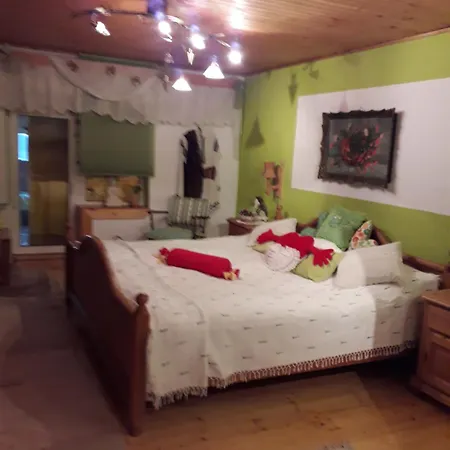 Littel Green Old Holiday home Sighisoara