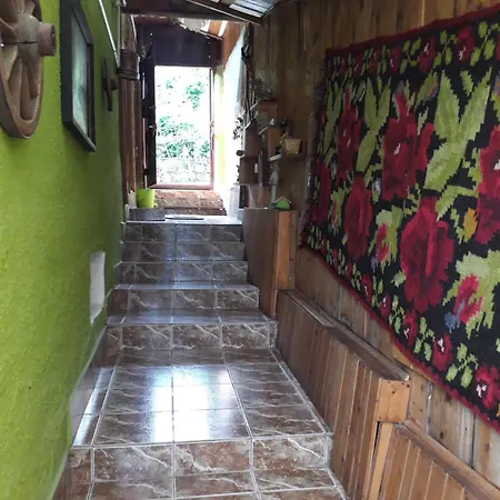 Littel Green Old * Sighisoara